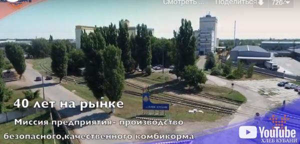 наша деятельность