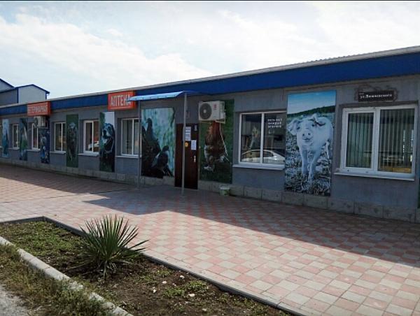 наша деятельность