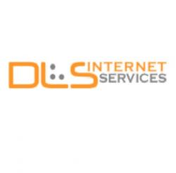 Logo - DLS Internet Services