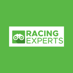 Logo - Racing Experts