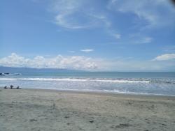 Logo - Bali Legal Consulting