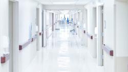 Logo - Executive Cleaning Services