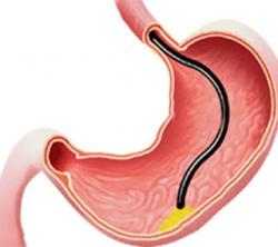 Logo - Endoscopy Center Nairobi