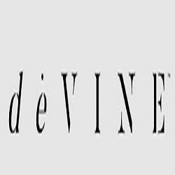 Logo - deVINE Boston