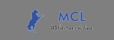 Logo - Melbourne Cab Limo