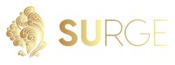 Logo - Surge Freelancing Marketplace