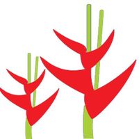 Logo - Travancore Foundation