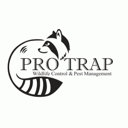 Logo - Pro Trap Wildlife Control & Pest Management
