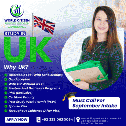 Logo - World Citizen Consultants