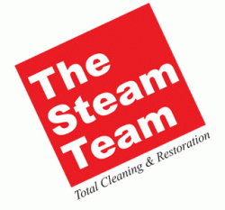 Logo - The Steam Team