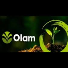 Logo - Olam Grains