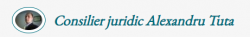Logo - ALT Consulting Societate Profesionala SRL