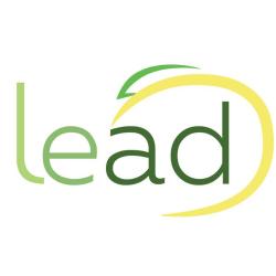 Logo - Lead Property & Cleaning Services