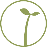 Logo - Sprout Cafe