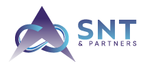 Logo - SNT Partners