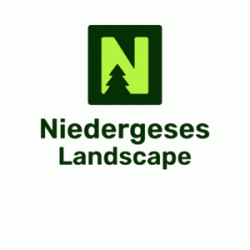 Logo - Niedergeses Landscape