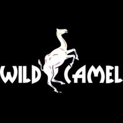 Logo - Wild Camel