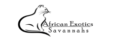 Logo - African Savannah - Cats & Kittens for Sale