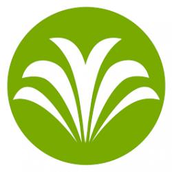 Logo - Radiance Rx Skin & Aesthetics