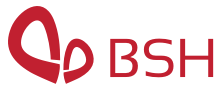 Logo - BSH Soft