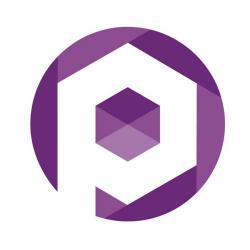 Logo - Platinum SEO Melbourne